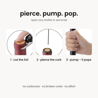 Air pressure wine opener